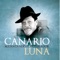 Vuelvo (feat. Alejandro Balbis) - Canario Luna lyrics