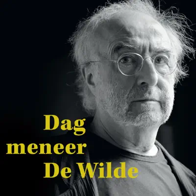 Dag Meneer De Wilde (Best Of) - Jan De Wilde