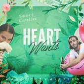 Magic City Hippies - Heart Wants