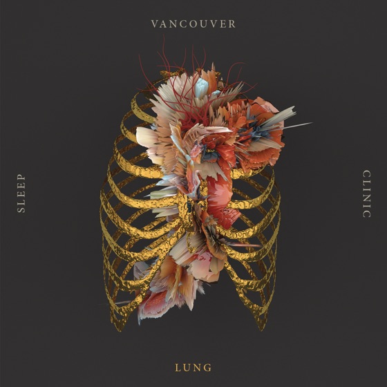 Cover artwork for Lung
