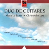 Duo de guitares (Guitar Duo) artwork