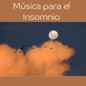 Música para el Insomnio - Calmante Piano para la Relajación Profunda, Música de Fondo para Problemas para Dormir, Salón de Música, Buenas Noches artwork