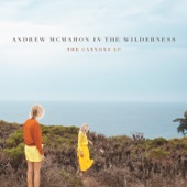 Cecilia and the Satelitte by Andrew McMahon in the Wilderness
