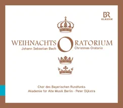 Weihnachts-Oratorium, BWV 248, Pt. 3: Herrscher des Himmels, erhöre das Lallen (Live) Song Lyrics
