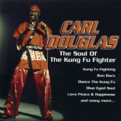 The Soul of the Kung Fu Fighter artwork