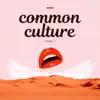 Common Culture, Vol. VI album lyrics, reviews, download
