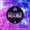 The Future of House, Vol. 3