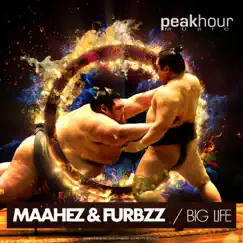 Big Life - Single by Maahez & Furbzz album reviews, ratings, credits