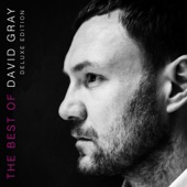 The Best of David Gray (Deluxe Edition) artwork