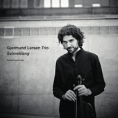 Salmeklang (feat. Gjermund Larsen, Sondre Meisfjord & Andreas Utnem) - Gjermund Larsen Trio