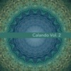 Calando, Vol. 2 - Musica Elettronica, 2015