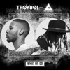 TroyBoi - What We Do