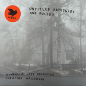 Untitled Arpeggios and Pulses - Trondheim Jazz Orchestra & Christian Wallumrød