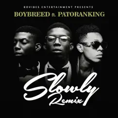 Slowly (Remix) [feat. Patoranking] Song Lyrics