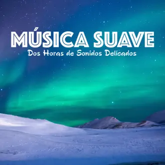 Música suave y relajante - Dos horas de sonidos delicados para hacer dormir los bebés, larga duración by Música Para bebés Especialistas album reviews, ratings, credits