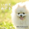 Miki Kakizawa - いのちめぐる