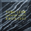 Unknown Death 2002