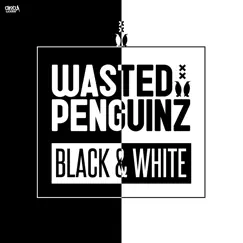 Black & White (Extended Mix) Song Lyrics