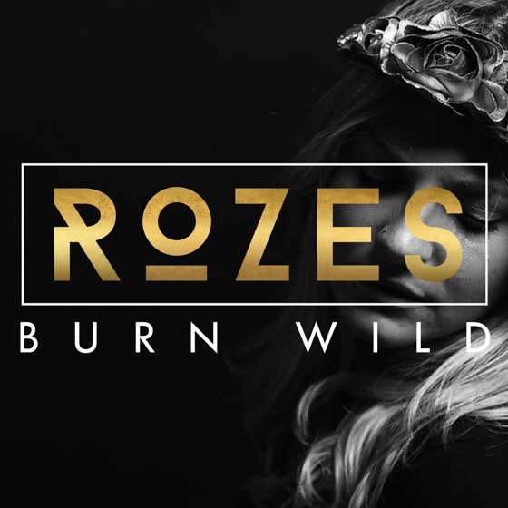 Cover artwork for Burn Wild
