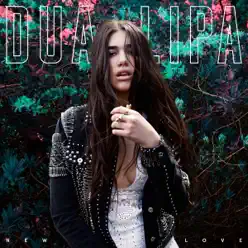 New Love (Remixes) - Single - Dua Lipa New Love (Remixes) - Single - Dua Lipa
