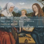 Mater Matris Christi artwork