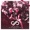Pang - State Of Sound Higher Love