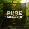 Pure Melodic 2015, Vol.2