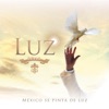 Lucero, Cristian Castro, Pedro Fernández, Diego Verdaguer, Pandora, Carlos Rivera, Belinda, Diego Boneta, Ana Victoria, La Adictiva Banda San José de Mesillas, Edwin Luna, Emir Pabón & Grupo Cañaveral, Leandro Ríos, Iskander, ATL, Jary, Marian & Mariel, Ruby Escobar, Carla Mauri & LemonGrass - Luz