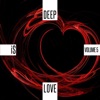 Deep Is Love, Vol. 5 artwork
