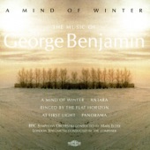 Benjamin: A Mind of Winter artwork