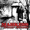 Your Roots - Single