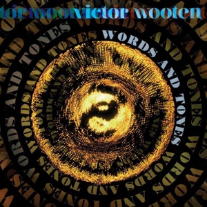 Victor Wooten I Can't Make You Love Me
