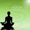 Yoga Meditation 101 - Serenity Music for Relaxation, Spa and Deep Sleep Background Ambient Songs for Inner Peace album lyrics, reviews, download