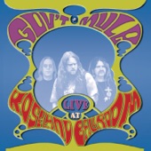 Gov't Mule - Don't Step on the Grass, Sam