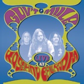 Gov't Mule - Mule