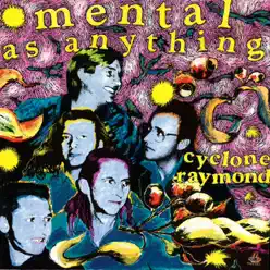 Cyclone Raymond - Mental As Anything