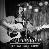 The Brouhaha - Don't Have to Write It Down