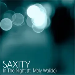 In the Night (feat. Mely Walide) - Single by Saxity album reviews, ratings, credits