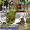 Reels on the Tin Whistle: Volume 2