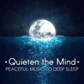 Quieten the Mind: Peaceful Music to Deep Sleep, Cure for Insomnia, Healing Sounds for Relaxation artwork