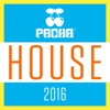 Pacha House 2016, 2016