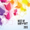 Hayat best of 2013, 2013