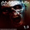 Amadeus - Tonikattitude lyrics