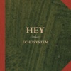 Hey - A Ty?