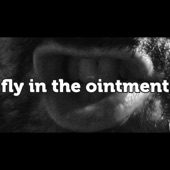 Fly in the Ointment artwork