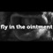 Fly in the Ointment artwork