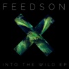 Into the Wild EP