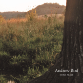 Noble Beast - Andrew Bird