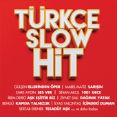 Türkçe Slow Hit artwork