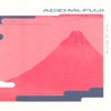 Acid Mt.Fuji + EP